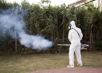 Operativos contra el Dengue