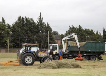 Prevención del dengue: operativo de limpieza