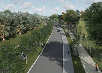 Proyecto para crear nuevos espacios verdes