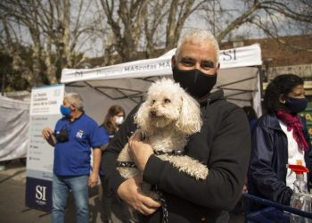 Dónde vacunar gratis nuestras mascotas