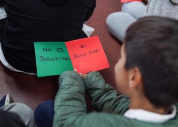 Programa para combatir el bullying