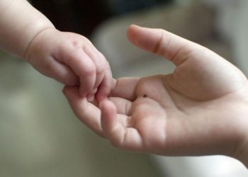 Estás pensando en adoptar?