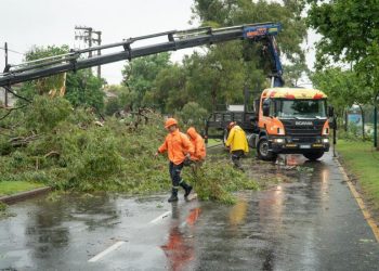 trabajos para reparar daños de la tormenta
