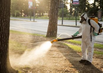 Campaña integral para prevenir el dengue