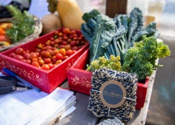 Feria de los Huerteros de San Isidro con productos frescos y saludables