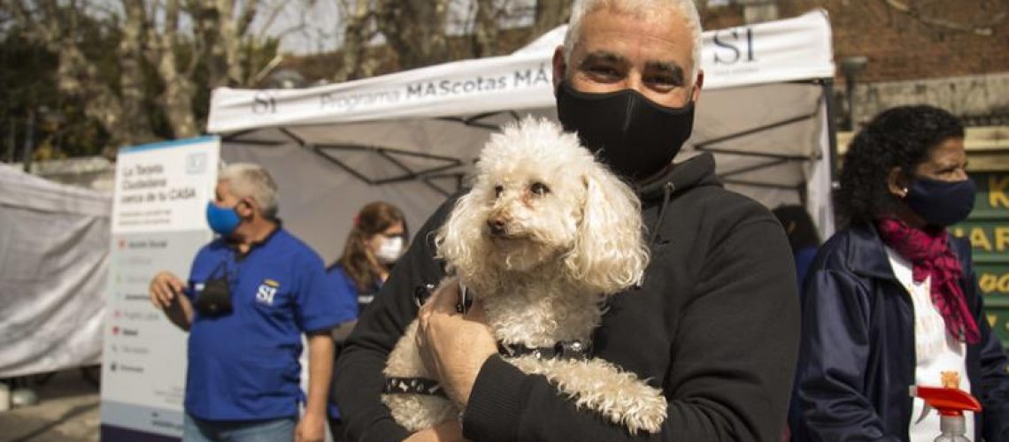Dónde vacunar gratis nuestras mascotas