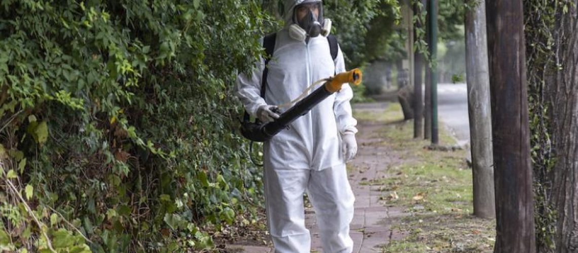 Prevenir el dengue