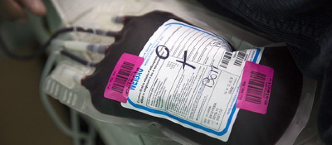 49785694363_1a36153c76_w