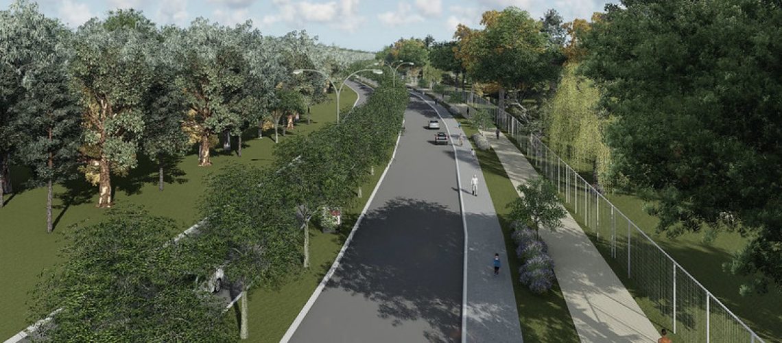 Proyecto para crear nuevos espacios verdes