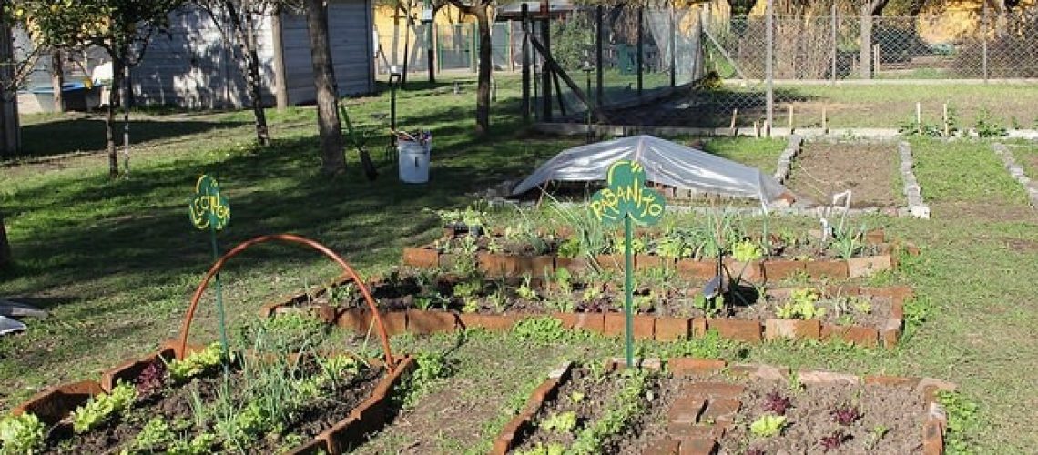 Taller de Huerta