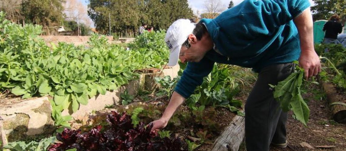 Huerta urbana agroecológica